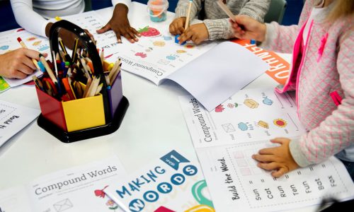 miniatura del curso